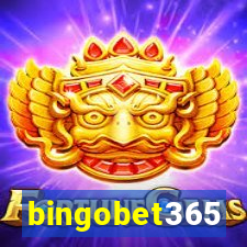 bingobet365