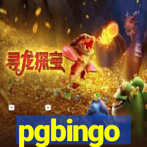 pgbingo