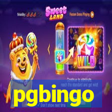 pgbingo