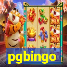 pgbingo